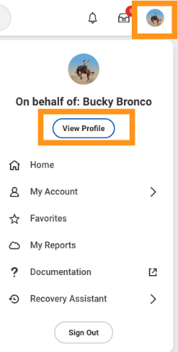 Workday Edit Profile
