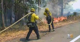 Forest fire raging near a residential area with a burning orange sky.