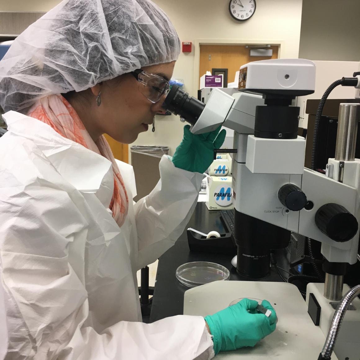 Laura Rivas Yepes, M.S. 20, working at a microscope image link to story