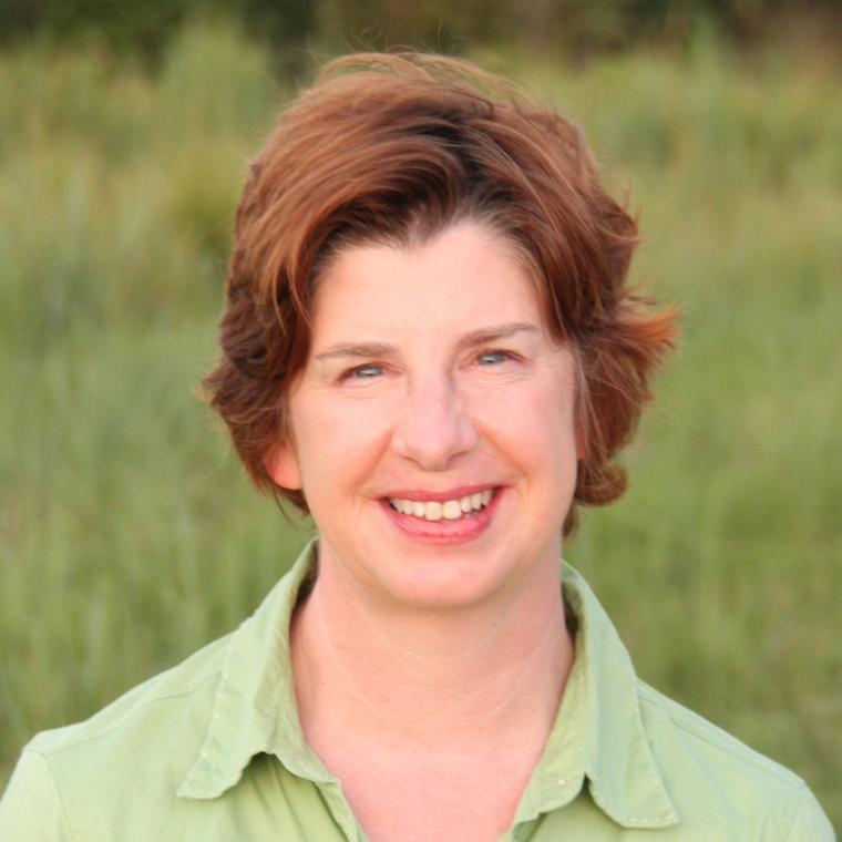 Sarah Kate Wilson 